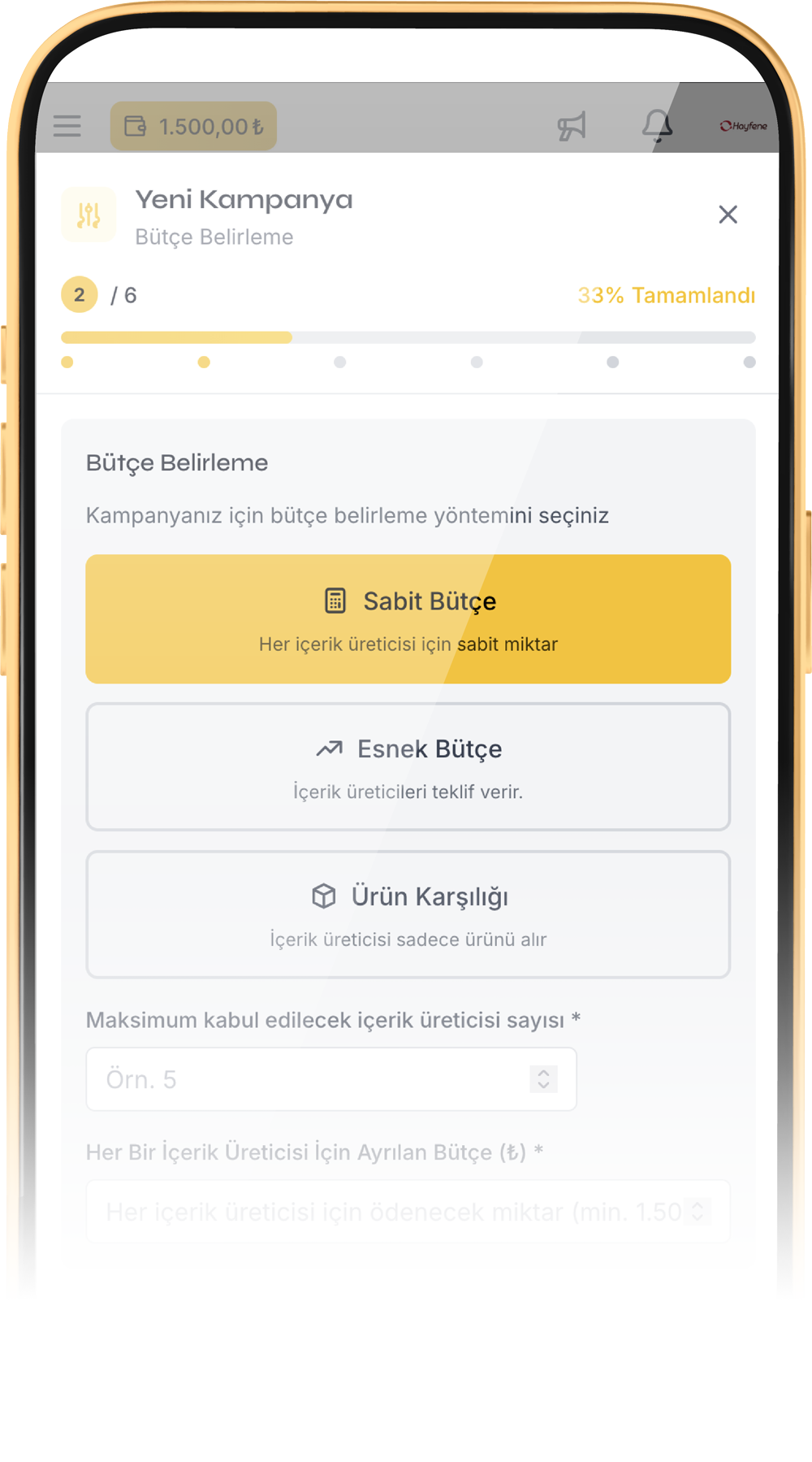 Yeni Kampanya - Bütçe belirleme
