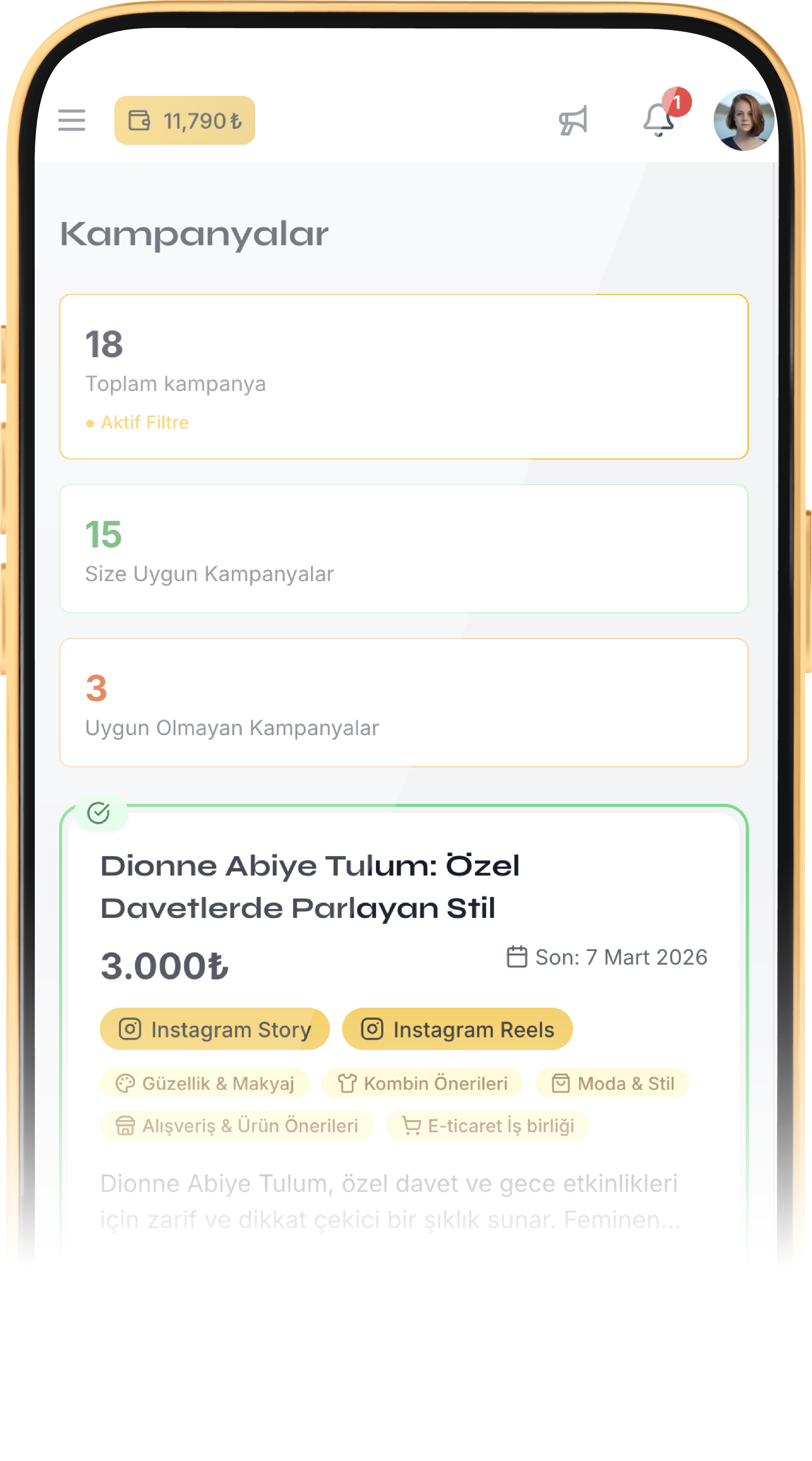 Kitle Oluşturmanın Ötesine Geç, Profesyonel İş Birliklerine Adım At